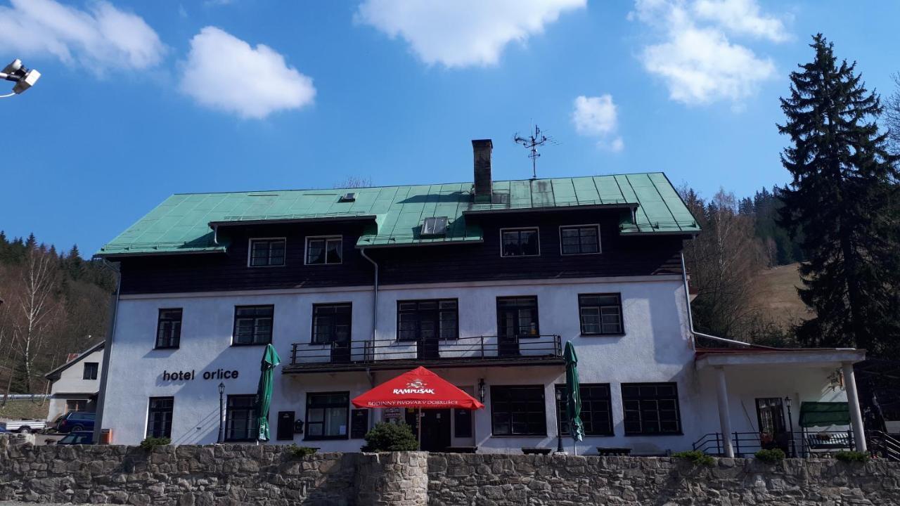 Hotel Orlice Destne v Orlickych horach Dış mekan fotoğraf